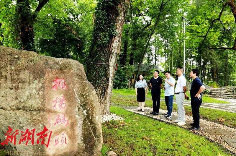 郭固权一行调研崀山文化旅游产业发展_邵阳头条网